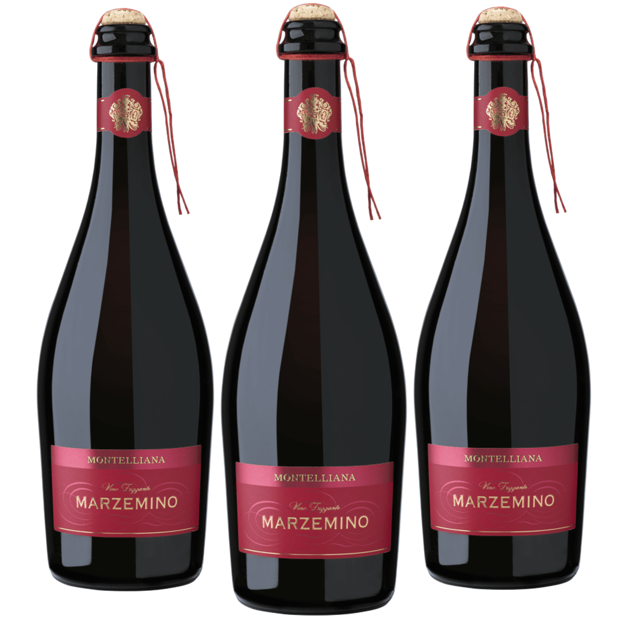 Vino frizzante rosso amabile a fermentazione naturale.
Di colore rosso intenso con riflessi violacei.
Profumo caratteristico floreale, fruttato e piacevole.
Gusto pieno, amabile ed armonico.
Adatto a qualsiasi occasione conviviale.