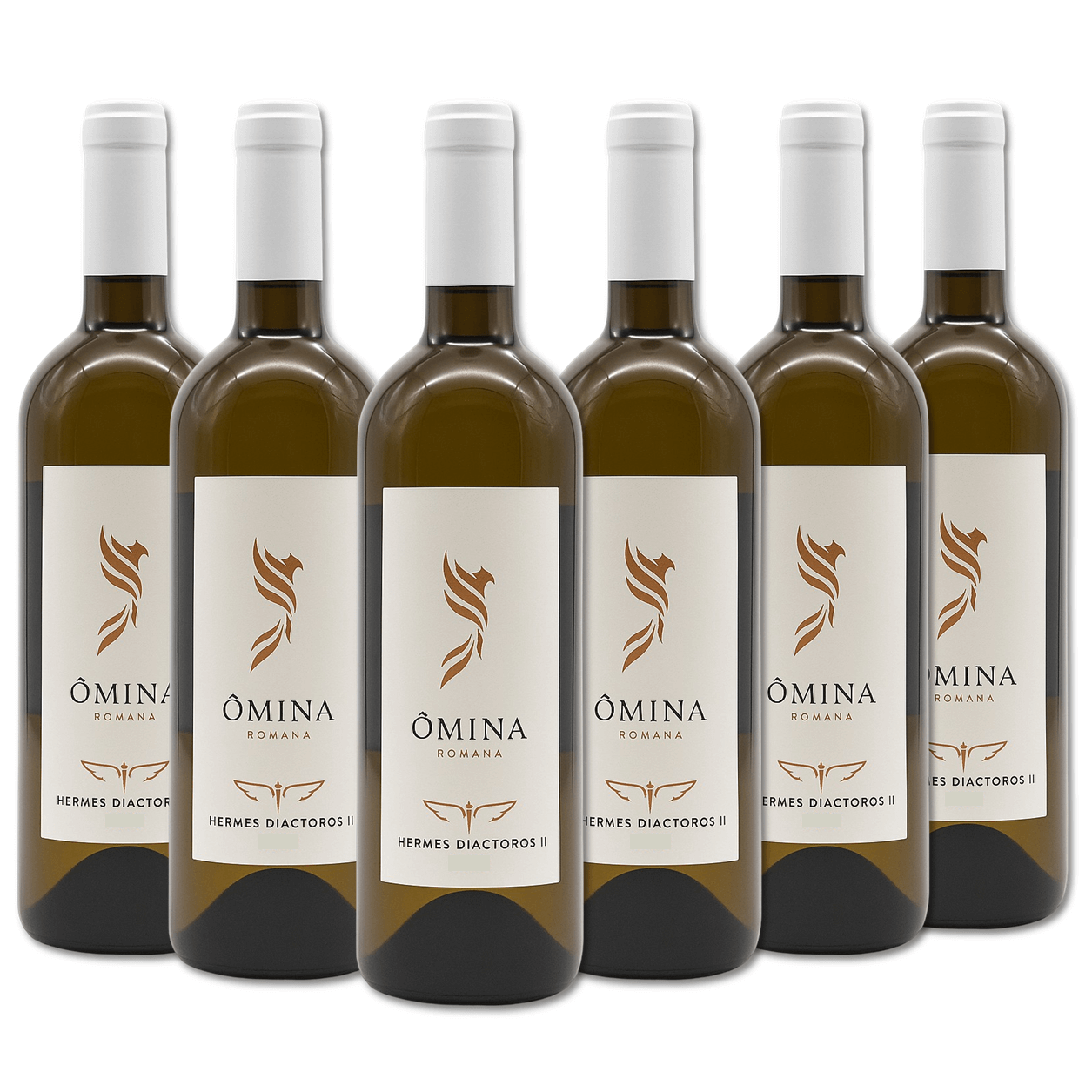 Profumo: Ricca ed articolata la trama olfattiva.
Frutta esotica matura, scorza di agrumi, pepe bianco, magnolia, erbe aromatiche, il tutto sostenuto da un fresco respiro di miele d’eucalipto.
Palato: In bocca è avvolgente, cattura il palato riproponendo inalterate le suggestioni avvertite all’olfatto, fresca e salina la lunga persistenza minerale.