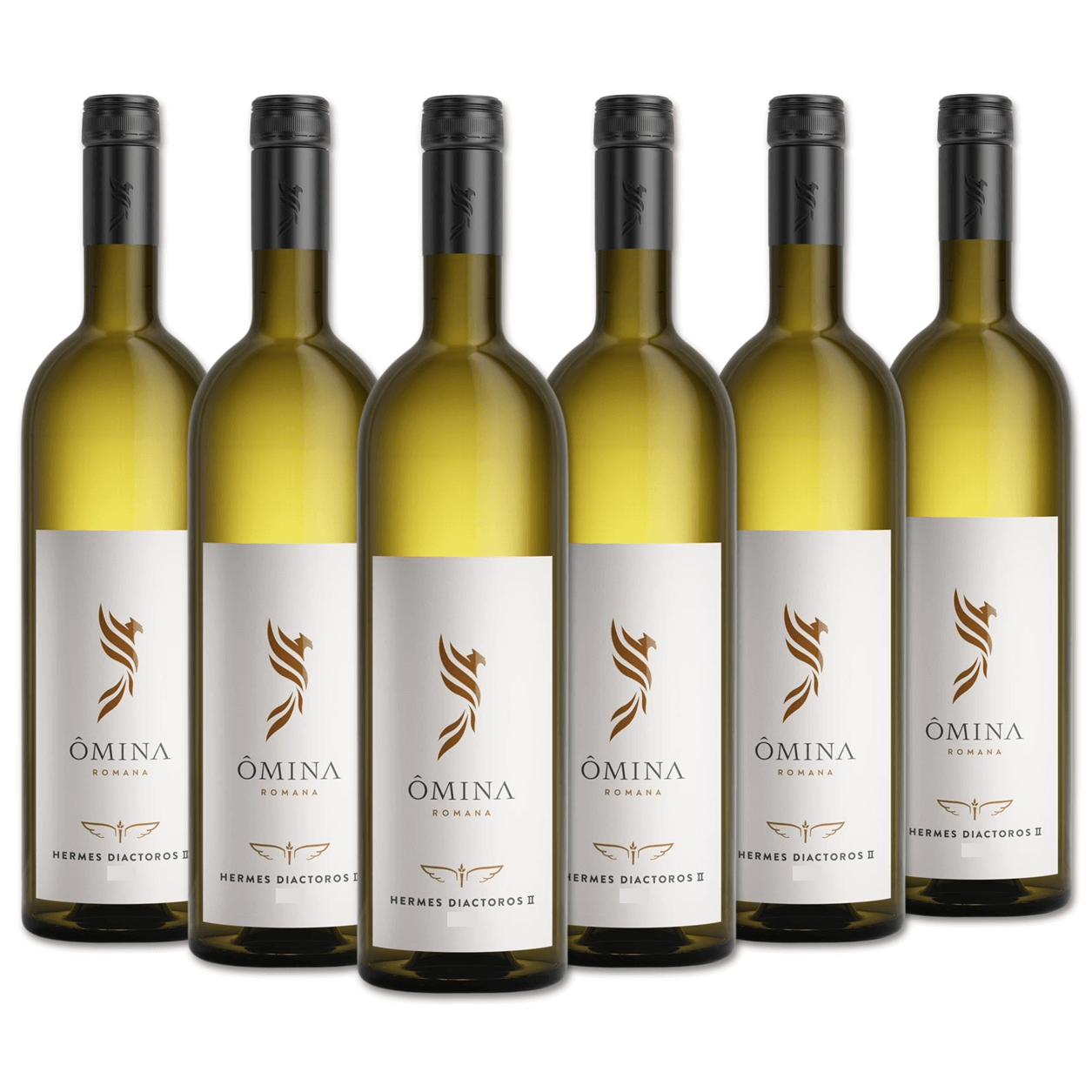 Consegna GRATUITA
PROFUMO: Ricca ed articolata la trama olfattiva.
Frutta esotica matura, scorza di agrumi, pepe bianco, magnolia, erbe aromatiche, il tutto sostenuto da un fresco respiro di miele d’eucalipto.
PALATO: In bocca è avvolgente, cattura il palato riproponendo inalterate le suggestioni avvertite all’olfatto, fresca e salina la lunga persistenza minerale.