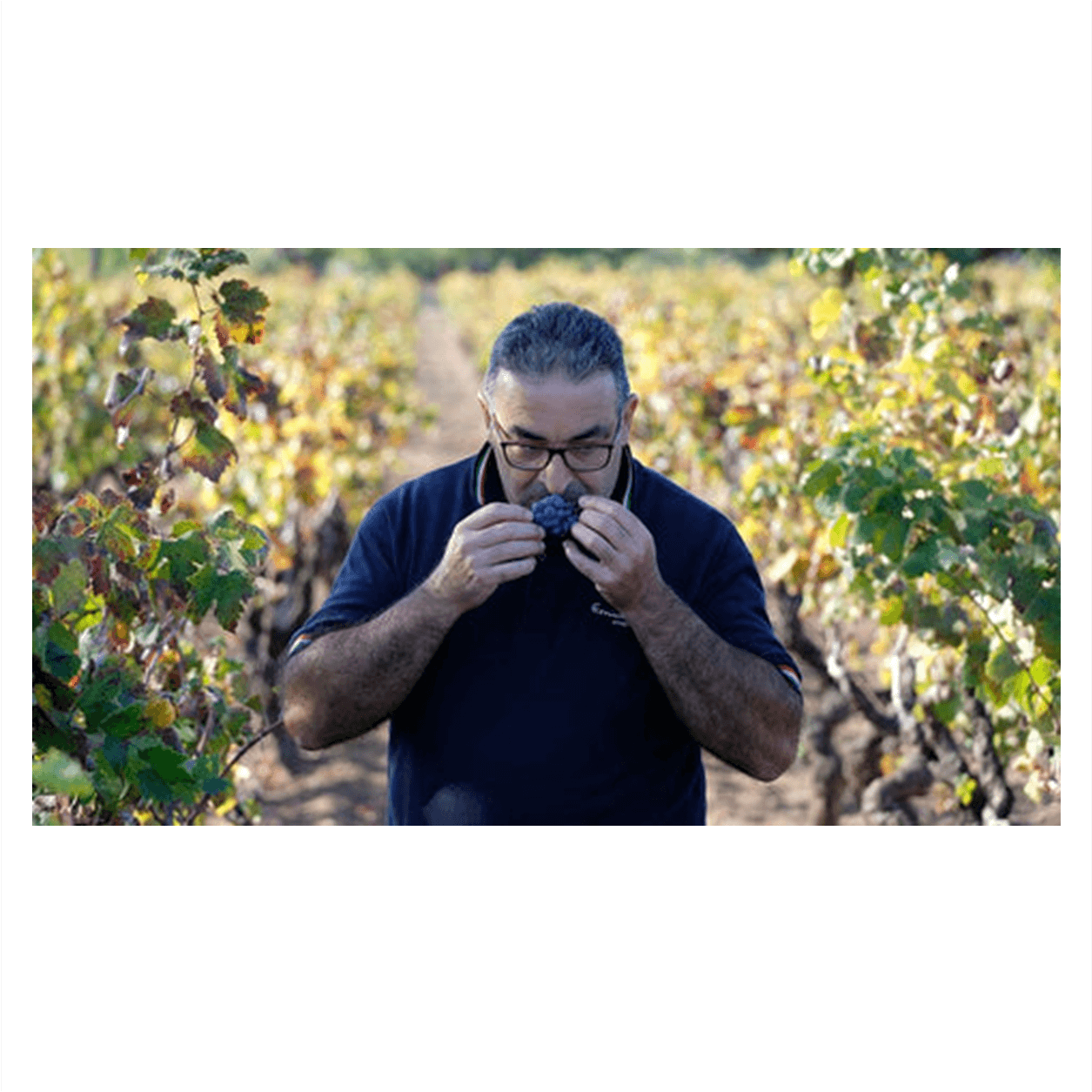 Ciccitraccia 2022 Primitivo di Manduria DOP Erminio Campa 15%vol 75cl