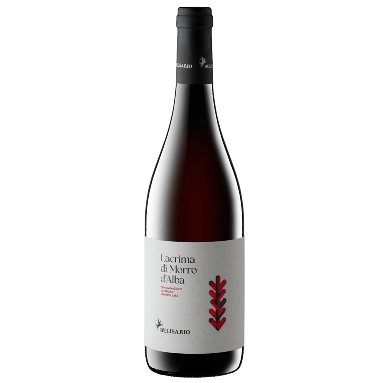 Uve di lacrima, macerazione carbonica, territorio ristrettissimo intorno al castello di Morro D'Alba a pochi km da Matelica.
Vino unico, al limite dell'aromatico per piatti rossi, salumi, carni non elaborate.
Un rosso alternativo e riconoscibile da tutti.