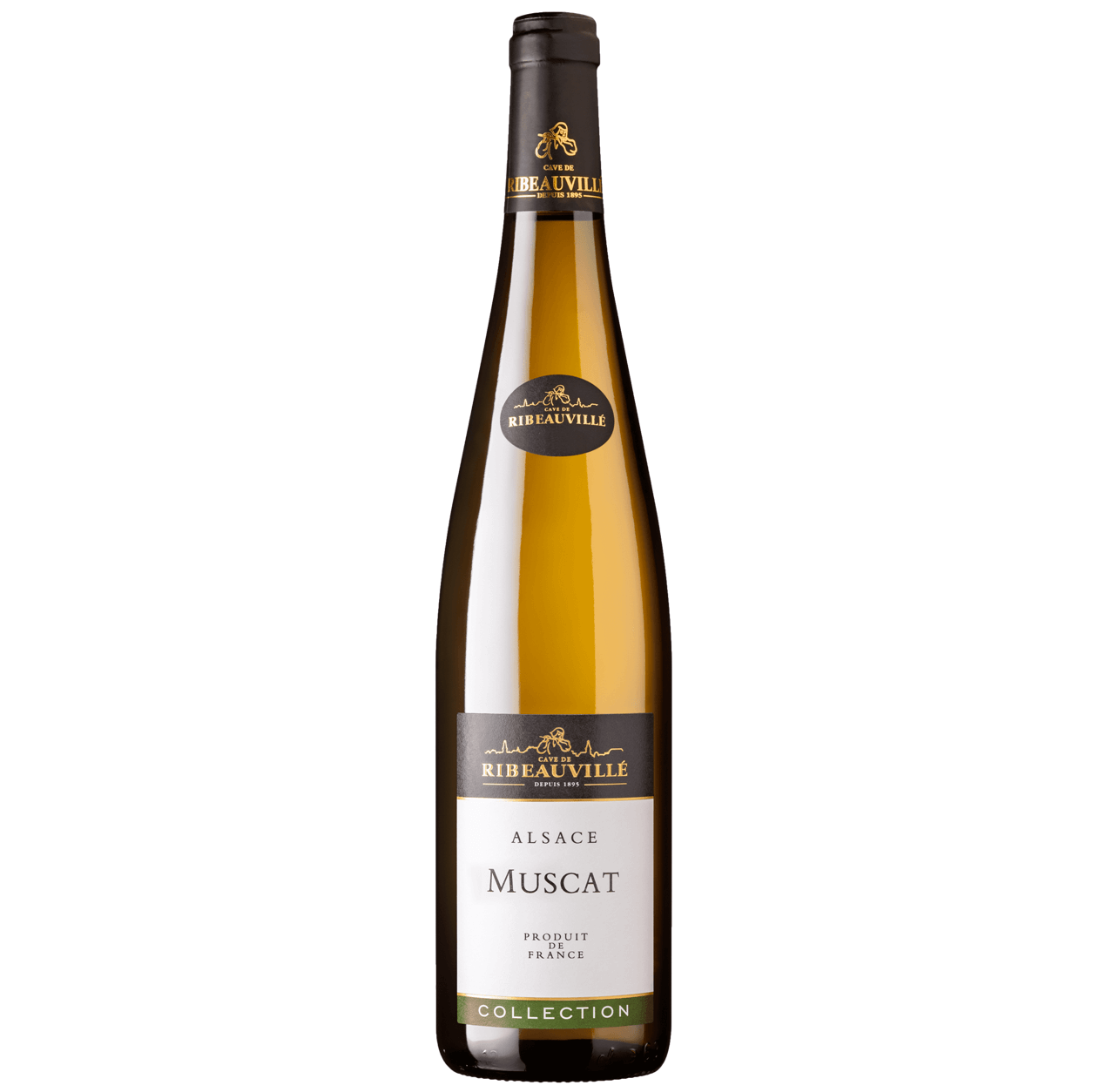 Moscato secco con note aromatiche e fruttate tipiche e caratteristiche del vitigno, piacevole freschezza al palato e lunga persistenza in bocca.
Vigneto collinare interamente raccolto a mano sulla famosa faglia geologica di Ribeauvillé che offre un'incredibile diversità di terroir.
Ottimo abbinamento con Ostriche, frutti di mare e pesce crudo in generale
