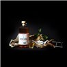 Genziana delle pecore in infusione di vino liquore artigianale Scuppoz Abruzzo 23%vol 50cl in busta regalo da enoteca