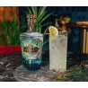 Gin Santa Ana in cofanetto regalo edizione limitata 70cl