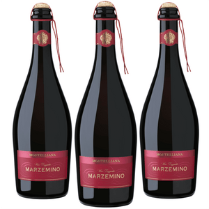 Vino frizzante rosso amabile a fermentazione naturale. 

Di colore rosso intenso con riflessi violacei.

Profumo caratteristico floreale, fruttato e piacevole.

Gusto pieno, amabile ed armonico.

Adatto a qualsiasi occasione conviviale. 