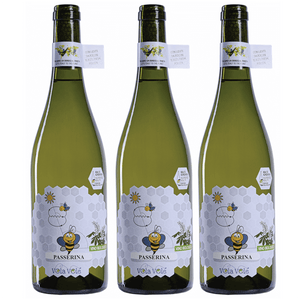 VISTA: giallo paglierino tenue con riflessi verdognoli.

OLFATTO: bouquet delicato floreale di lilla, caprifoglio ed acacia.

GUSTO: aromi fruttati, agrumati, piacevolmente acidulo, corpo snello.

VINIFICAZIONE: le uve sono raccolte a mano a metà settembre quando l’uva ha un tenore acidulo che garantisce la freschezza al vino.

I lieviti di fermentazione sono indigeni selezionati sulla flora del territorio e legati alla sua biodiversità.

La fermentazione viene condotta a temperatura controllata.
 