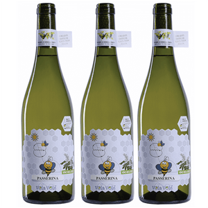 VISTA: giallo paglierino tenue con riflessi verdognoli.

OLFATTO: bouquet delicato floreale di lilla, caprifoglio ed acacia.

GUSTO: aromi fruttati, agrumati, piacevolmente acidulo, corpo snello.

VINIFICAZIONE: le uve sono raccolte a mano a metà settembre quando l’uva ha un tenore acidulo che garantisce la freschezza al vino.

I lieviti di fermentazione sono indigeni selezionati sulla flora del territorio e legati alla sua biodiversità.

La fermentazione viene condotta a temperatura controllata.
 