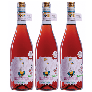 Colore rosa ciliegia intenso e brillante

Fragranze di lamponi, melagrana e toni balsamici.

Netta sapidità e sensazione tannica dimostrando la grande vitalità del vino

Attacco gustativo impetuoso con note fruttate e floreali legate a un tannino presente, ma ben integrato.

Il nerbo acido lo rende scalpitante e fresco