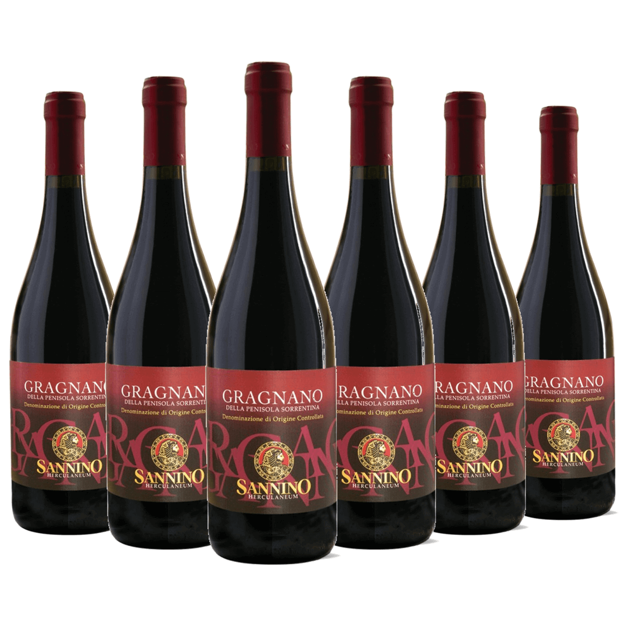 Dalle uve Aglianico e Piedirosso, prodotte nel tipico territorio di Gragnano, si ottiene un vino frizzante di antica nobiltà.

Di colore rubino intenso presenta la spuma con riflessi violacei.

Ha sentore fruttato, gusto morbido e gradevole. 

IL VINO DA PIZZA.