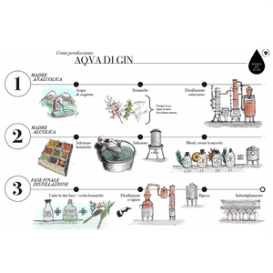 Gin Citrus AQVA di Gin Bespoke Distillery 40%vol 70cl in busta regalo