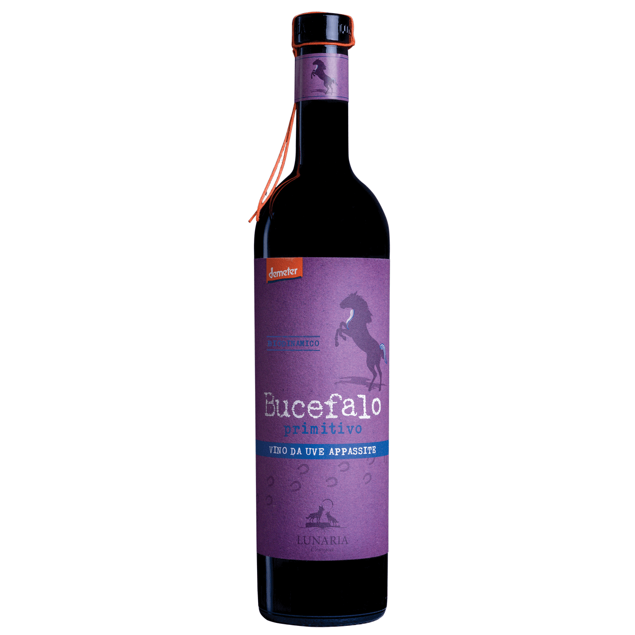 Rosso rubino impenetrabile, al naso rivela aromi intensi di prugna, mora seguite da sentori di violetta, vaniglia e tabacco.

In bocca sviluppa tutta la sua forza. Pieno, potente ricco di tannini vellutati ed avvolgenti ben bilanciati con una giusta freschezza e poi nel finale lascia spazio a un importante e elegante mineralità.

Coltivato a capanne (tendone o pergola abruzzese), la forma di allevamento che più di tutte restituisce alla vite il suo naturale sviluppo vegetativo.

La fermentazione spontanea l