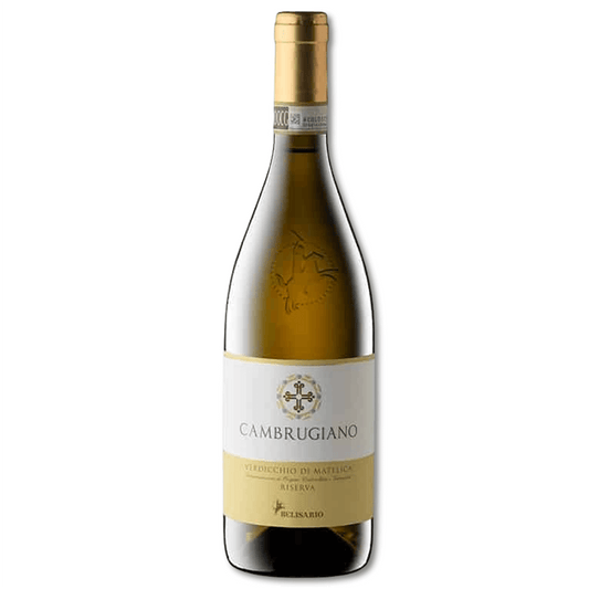 E’ il vino con cui la Belisario ha vissuto le emozioni più grandi.

E’ stato il primo Verdicchio nella tipologia “Riserva”. 

Prodotto dal 1988 solo con uve Verdicchio vinificate con metodo della criomacerazione.

Matura in acciaio e parte in barili di legno di rovere tostato almeno un anno e si affina un altro anno in bottiglia. 

La complessità della produzione è la complessità del suo patrimonio organolettico: colline marchigiane, sole mediterraneo, aromi floreali, vaniglia, grande struttura