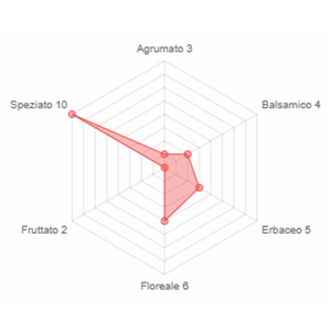 Gin Spiced AQVA di Gin Bespoke Distillery 40%vol 70cl in busta regalo