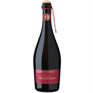Vino frizzante rosso amabile a fermentazione naturale. 

Di colore rosso intenso con riflessi violacei.

Profumo caratteristico floreale, fruttato e piacevole.

Gusto pieno, amabile ed armonico.

Adatto a qualsiasi occasione conviviale. 