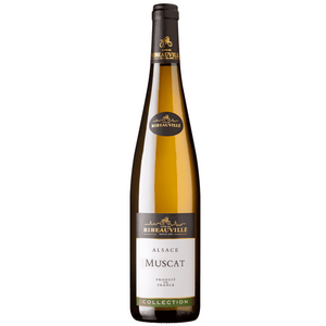 Moscato secco con note aromatiche e fruttate tipiche e caratteristiche del vitigno, piacevole freschezza al palato e lunga persistenza in bocca.

Vigneto collinare interamente raccolto a mano sulla famosa faglia geologica di Ribeauvillé che offre un'incredibile diversità di terroir.

Ottimo abbinamento con Ostriche, frutti di mare e pesce crudo in generale