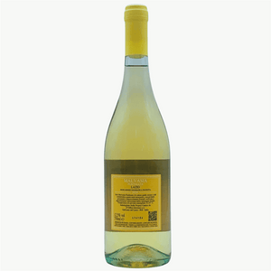 x3 Malvasia Puntinata Lazio IGP Viti Fiorite Vino Bianco Giovanni D'Offizi 3X75cl