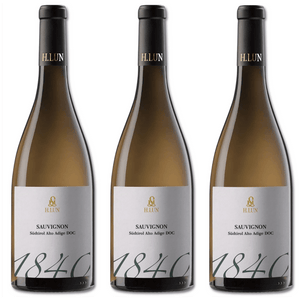 Il nostro enologo seleziona accuratamente le uve per posizione e qualità,
affinché il variegato terroir altoatesino possa trovare la sua massima
espressione nel vino. Da sempre, l'arte vera consiste nel ricavare da
ciascuna particolare posizione la giusta varietà, così da rafforzare
l'unicità dei vini di qualità H.LUN.

Un vino dal tipico e marcato aroma di sambuco e peperoni che
sprigiona un gusto pieno e corposo.

Si abbina ottimamente a piatti di pesce e antipasti saporiti.