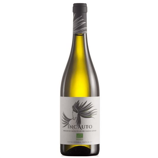 12 Mesi di affinamento ed evoluzione in anfora

Il Verdicchio di Jesi Classico Superiore L’Incauto 2020 ha profumi di mela e pera, con un tocco di menta ed erba officinale.

Bianco dal sorso piacevolmente sapido, possiede uno sviluppo docile e un finale ben profilato dai ritorni fruttati.