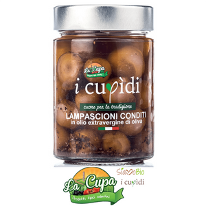 Lampascioni alla Salentina Senza additivi e conservanti in olio extravergine di oliva La Cupa