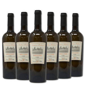 Consegna GRATUITA

Colore&nbsp;giallo paglierino brillante con riflessi dorati.

Al naso ha delle note fruttate mature di agrumi e pesca, con leggeri sentori di mandorla sulla fine.

Un vino che sorprende al primo sorso.

Al palato è, infatti, asciutto e poco aromatico.

Fresco nel complesso, sapido in bocca con accenti minerali, intenso, equilibrato e persistente.