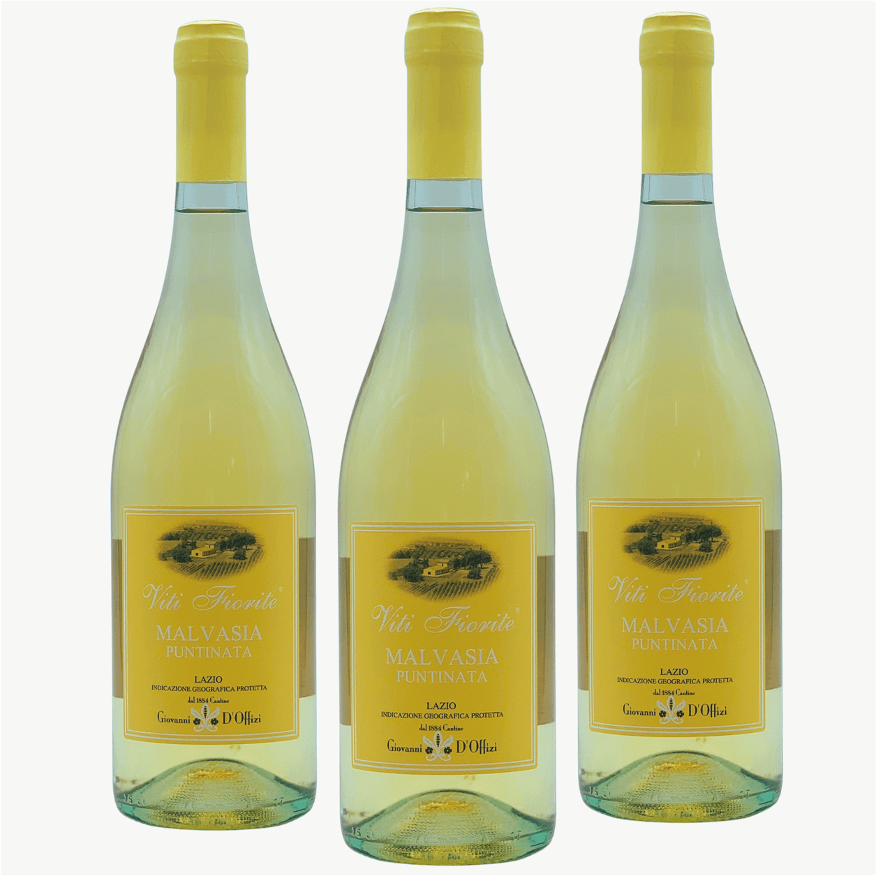 Vino bianco dal colore giallo intenso dovuto ad una leggera macerazione sulle bucce, offre toni dolci di mughetto e ciclamino, caramella al limone con pesca bianca ed erbe aromatiche.

Fresco e fruttato, presenta un gusto asciutto, pulito e di grande sapidità.